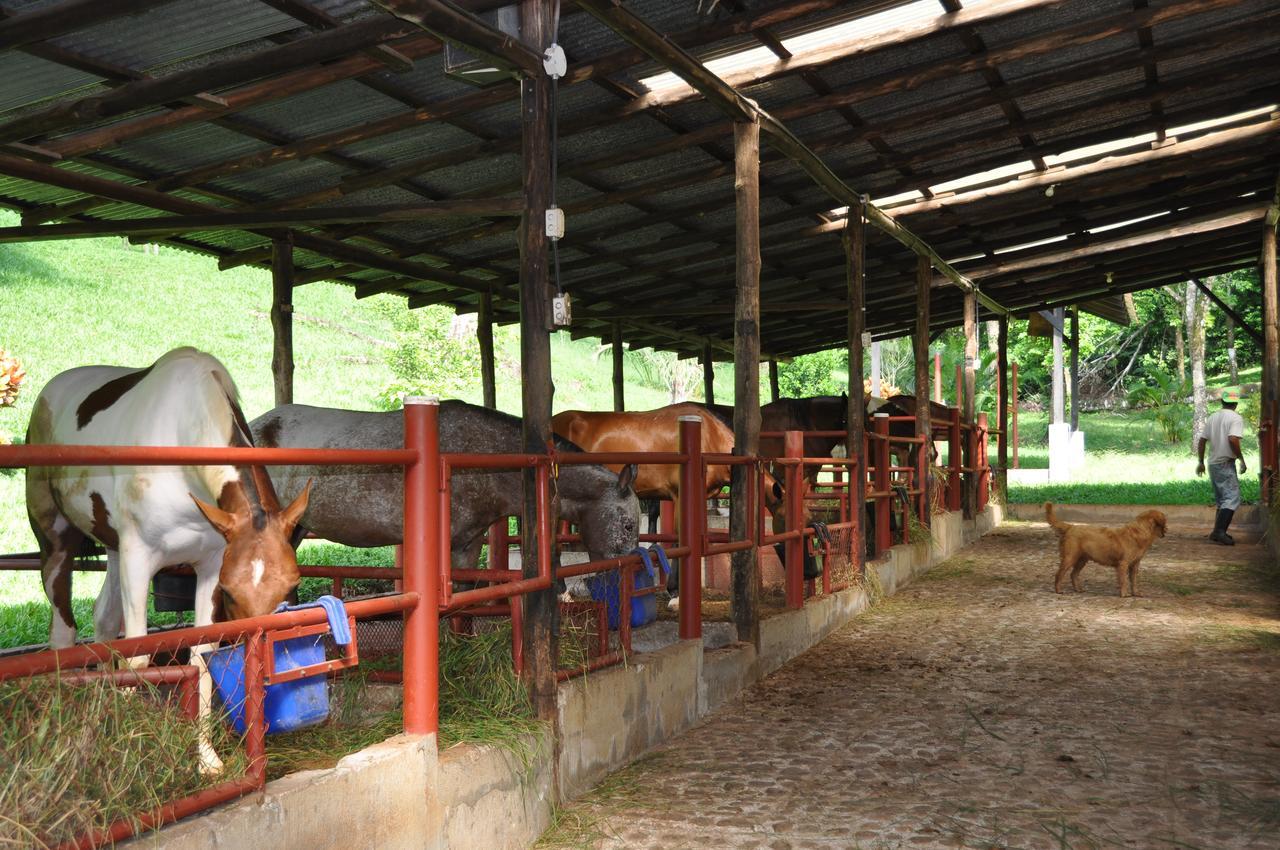 La Finca Lodge La Fortuna Exteriér fotografie